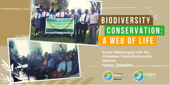 Credit: Zimbabwe Youth Biodiversity Network