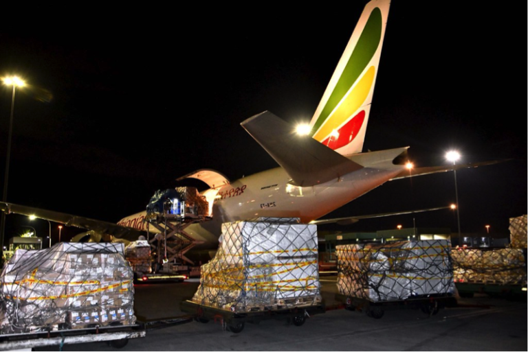 Arrival of medical supplies donated by People's Republic of China to South Africa