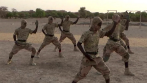 Source: Militant training: Sahara-Sahel, BBC.