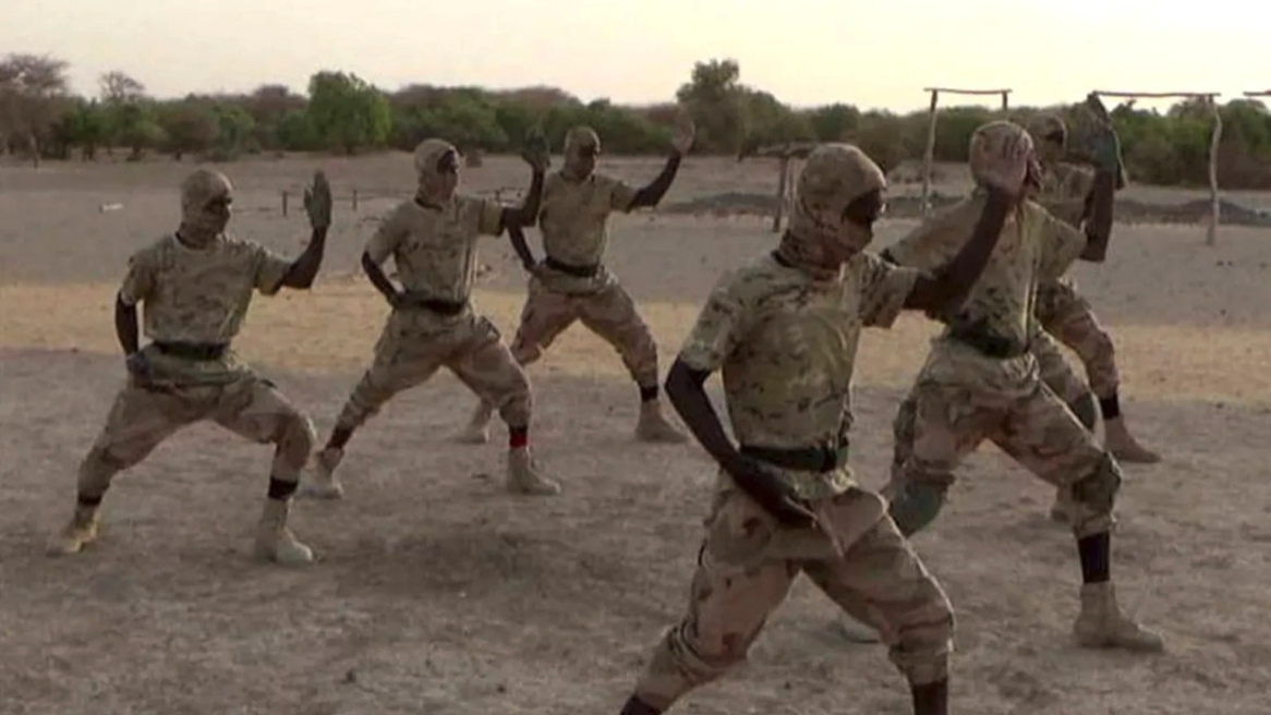 Source: Militant training: Sahara-Sahel, BBC.